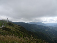 DSC04439
